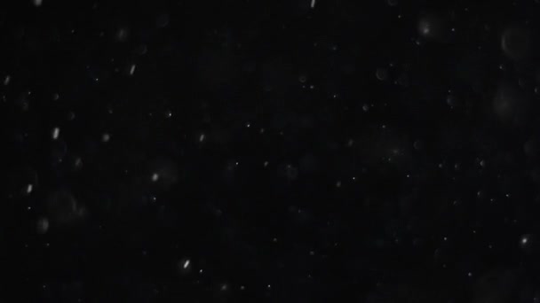 Støv sky isoleret sort baggrund boble bokeh – Stock-video
