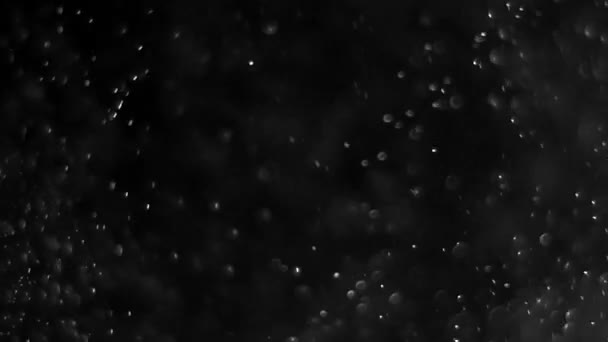 poussière nuage isolé fond noir bulle bokeh 