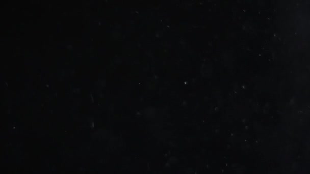 poussière nuage isolé fond noir bulle bokeh 