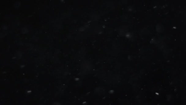 poussière nuage isolé fond noir bulle bokeh 