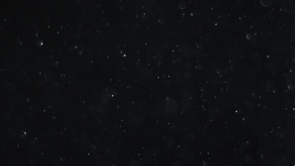 poussière nuage isolé fond noir bulle bokeh 