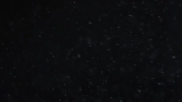 poussière nuage isolé fond noir bulle bokeh 