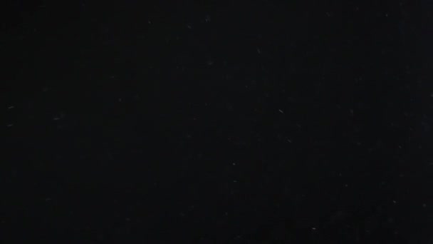 Pöly pilvi eristetty musta tausta kupla bokeh — kuvapankkivideo