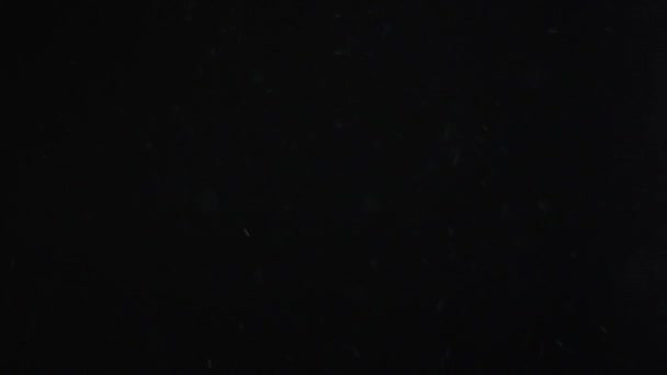 poussière nuage isolé fond noir bulle bokeh 