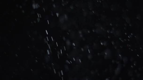 Пилова хмара ізольований чорний фон бульбашка Боке — стокове відео