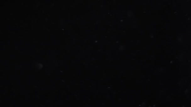 poussière nuage isolé fond noir bulle bokeh 