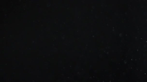 Σκόνη σύννεφο απομονωθεί μαύρο φόντο φούσκα Bokeh — Αρχείο Βίντεο