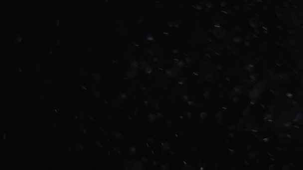 粉尘云孤立的黑色背景泡沫散景 — 图库视频影像