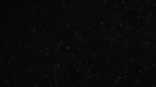 poussière nuage isolé fond noir bulle bokeh 