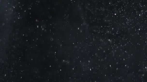 Doğal yüzer toz parçacıklarının arka plan — Stok video