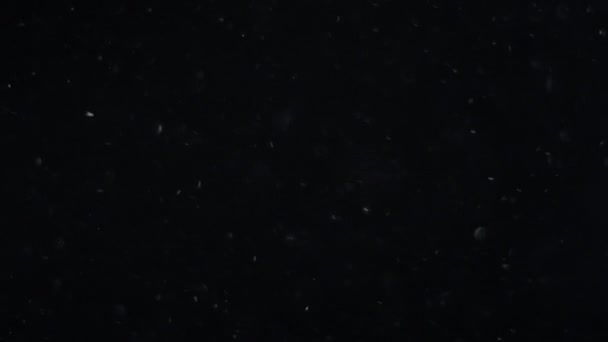 Contexte des particules de poussière flottantes naturelles 