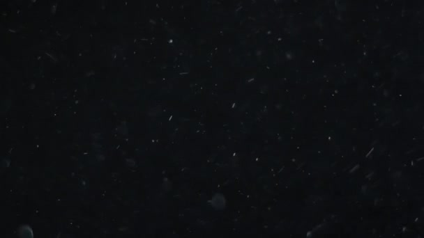 Contexte des particules de poussière flottantes naturelles 