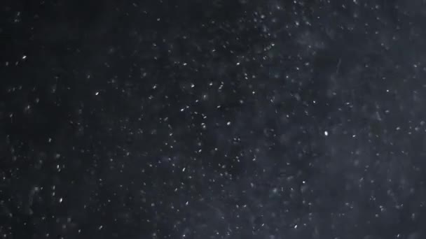 Фон из природных частиц плавающей пыли — стоковое видео