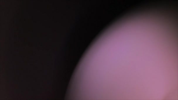 Elégant Soft Focus Animation de fond 