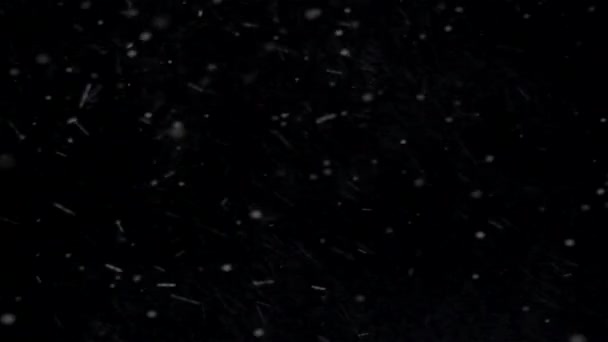 Mooie sneeuwval geïsoleerd op zwarte achtergrond. — Stockvideo