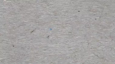 Gri eski geri dönüştürülmüş kağıt doku Video animasyon