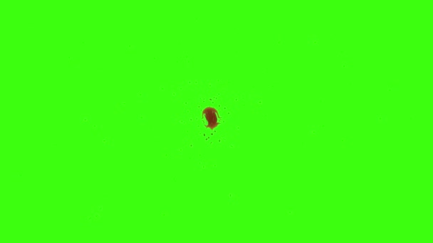 Rode Blood Splatter geïsoleerde groen scherm van de plons — Stockvideo