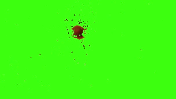 Rode Blood Splatter geïsoleerde groen scherm van de plons — Stockvideo