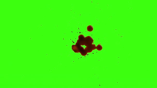 Rode Blood Splatter geïsoleerde groen scherm van de plons — Stockvideo