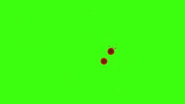 Droppar av blod DROPP på grön bakgrund — Stockvideo