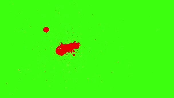 혈액 비 말의 많은 작은 방울 — 비디오