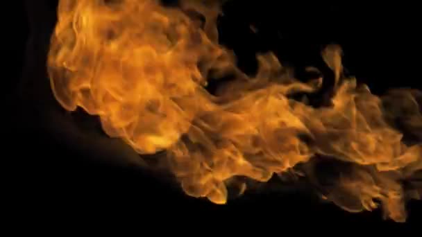 Požární Performer foukat oheň zprava — Stock video