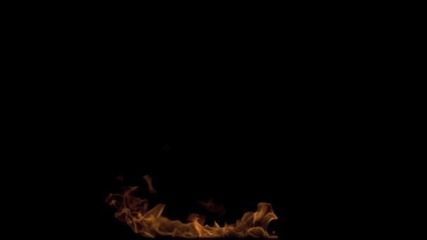 Пожежний виконавець дме вогонь — стокове відео