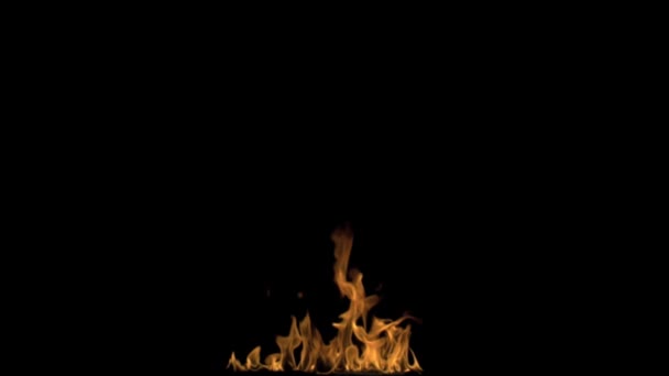 Artiste du feu soufflant le feu — Video
