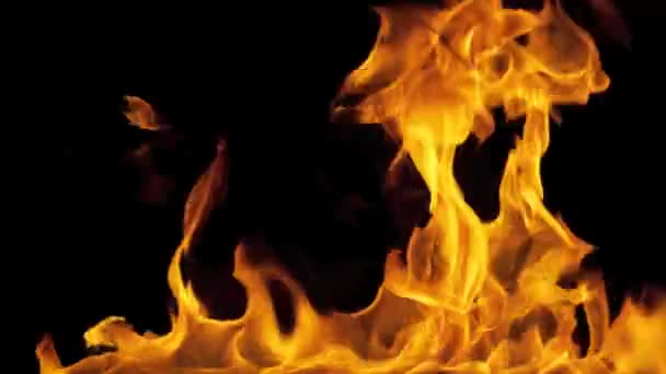 Палаючий вогонь полум'я повний екран — стокове відео