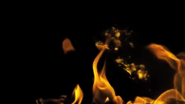 Burning Fire Flames Full Screen — Stock Video