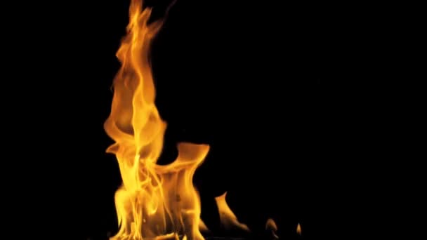 Горящее пламя разгорается на весь экран — стоковое видео