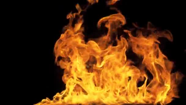 Burning Fire Flames Full Screen Stock Video C Dianaopryshko