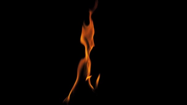 Brandende vuur Performer brand vanaf onderkant blazen — Stockvideo
