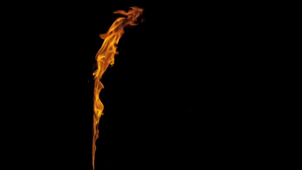 Fakkel brandende vuur Performer waait vanaf onderkant — Stockvideo