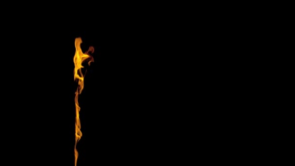 Torche brûlant le feu Interprète soufflant du fond 