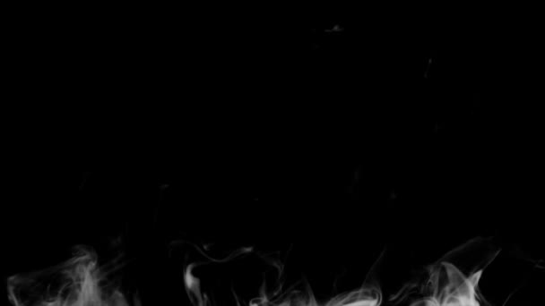 Tűz füst lentről felfelé fekete háttér — Stock videók