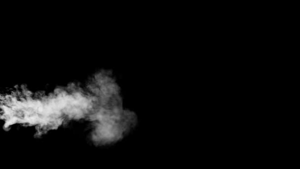 White Smoke Put from Buttom a Black Background — Stock Video