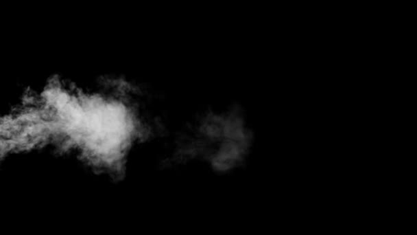 Witte rook zetten van Buttom met een zwarte achtergrond — Stockvideo