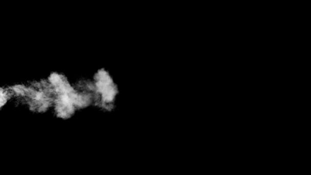 Biały dym umieścić od Buttom na czarnym tle — Wideo stockowe