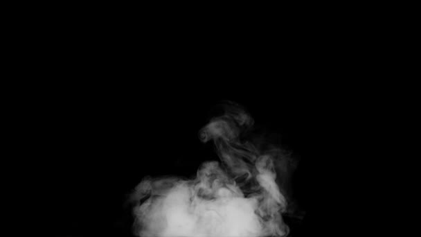 Random Steam Fog Blow from Bottom a Black Background — Stock Video