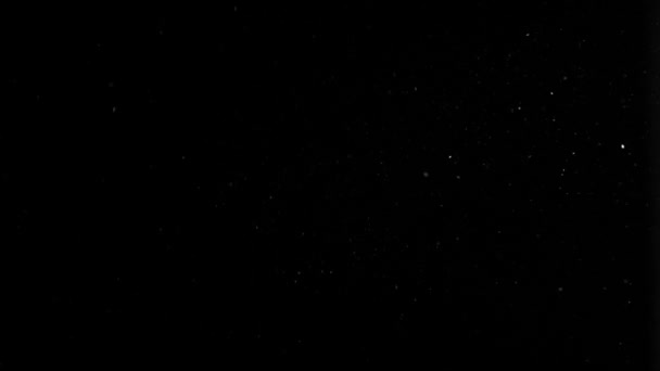 poussière nuage isolé fond noir bulle bokeh 