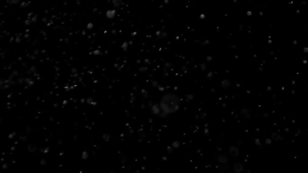 poussière nuage isolé fond noir bulle bokeh 