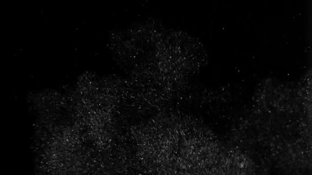 poussière nuage isolé fond noir bulle bokeh 