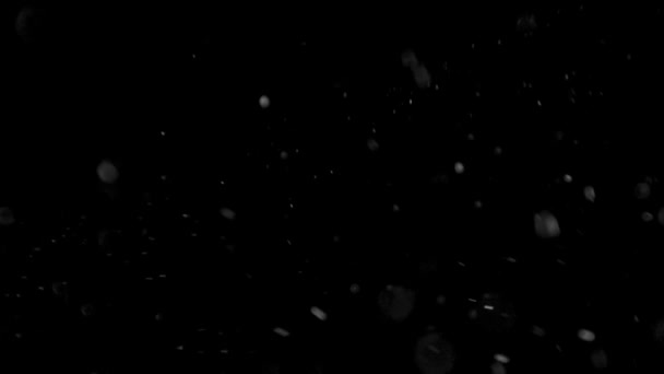 poussière nuage isolé fond noir bulle bokeh 