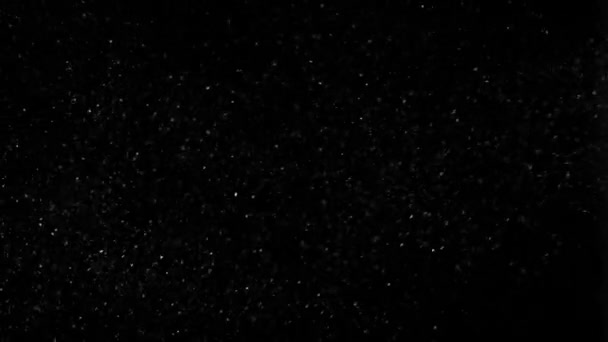 poussière nuage isolé fond noir bulle bokeh 