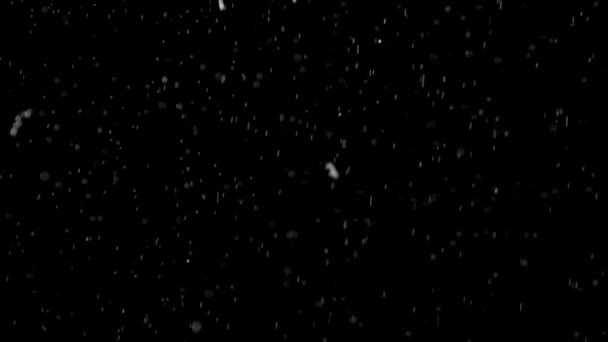 poussière nuage isolé fond noir bulle bokeh 