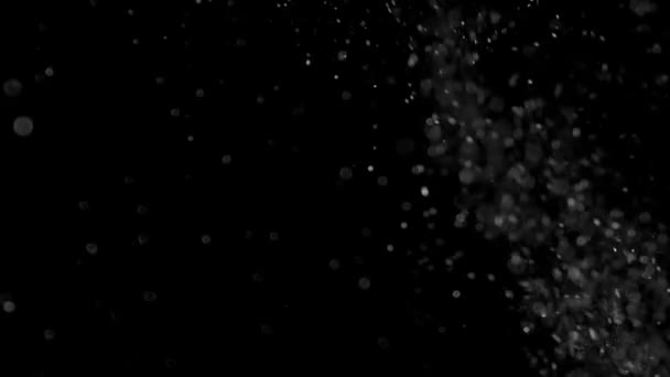 Dust Cloud Isolated Black Background Bubble Bokeh — Stock Video