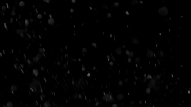 먼지 구름 고립 된 검은 배경 Bokeh 거품 — 비디오