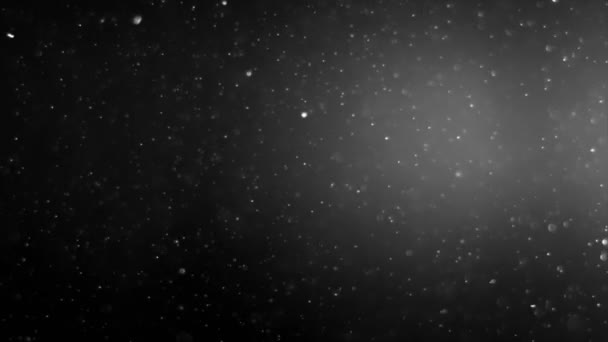 Abstract Light and Dust Particles — Stock Video