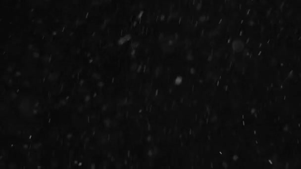 poussière nuage isolé fond noir bulle bokeh 